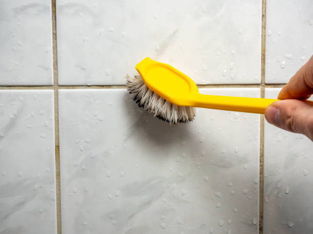 Best Residential Mold Removal  in Grasonville, MD