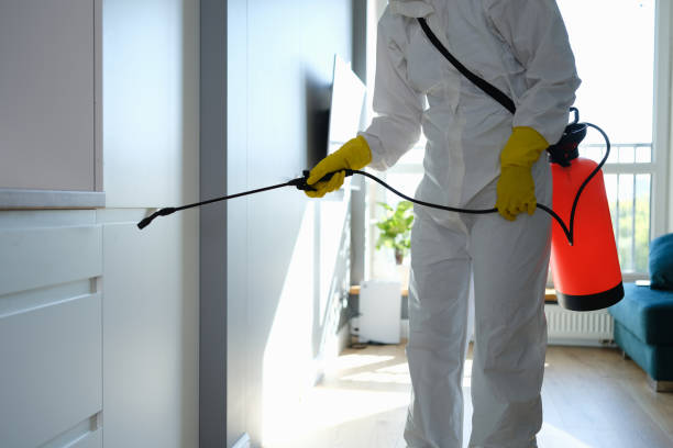 Best Mold Testing and Removal  in Grasonville, MD